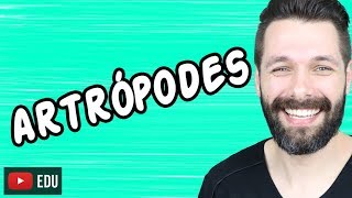 ARTRÓPODES  INTRODUÇÃO  ZOOLOGIA  Biologia com Samuel Cunha [upl. by Longawa]