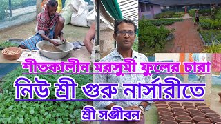 শীতের মরসুমি ফুলের চারা শ্রী গুরু নার্সারিতেSeason Flowers In Sri Guru NurseryShree Sanjiban [upl. by Seton48]