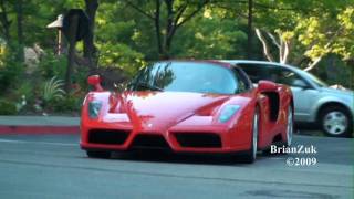 Ferrari Enzo [upl. by Munson]