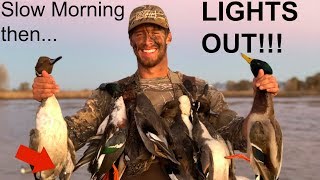 BEST Refuge DUCK HUNT Ive EVER BEEN ON Banded Pintail [upl. by Claudian]