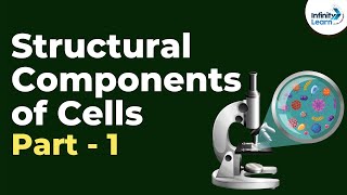 Structural Components of Cells  Part 1  Dont Memorise [upl. by Tterraj]