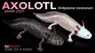 Safari Ltd ® Axolotl Ambystoma mexicanum 2024 Repaint amp Review [upl. by Nanyt]