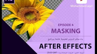 EP4  After effects Masking Tutorial افتر افيكتس الدرس الرابع  الماسكات [upl. by Wojak93]