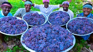 GRAPE JUICE  100 KG Grapes  Natural Pure Healthy Fruit Juice Making In Village  Juice Recipe [upl. by Ahsatin]