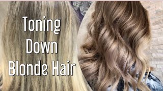 Toning Down Blonde Hair  MUSHROOM BROWN Tone [upl. by Wilde]