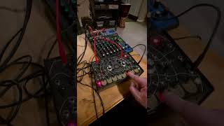 Quadrantid Swarm and Strymon Blue Sky Max Reverb [upl. by Ricky585]