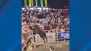 Bull jumps fence at Sisters Rodeo [upl. by Ahsitan]