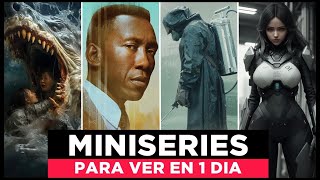 Las Mejores MINISERIES Para ver en UN SOLO DIA 2023 HBO Max Netflix Prime Video Star Plus [upl. by Alliber]