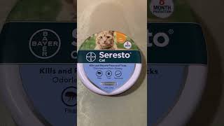 Seresto cat collar product review  is it worth it [upl. by Einapets]