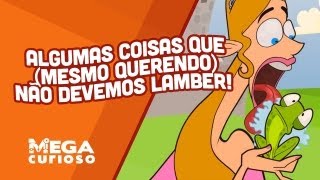 Algumas coisas que mesmo querendo não devemos lamber [upl. by Bruni507]