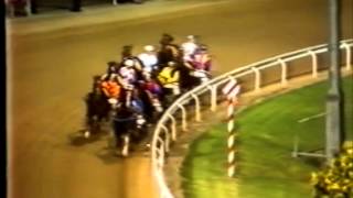 Harness RacingHarold Park04021984 Tiffs MysteryOGlendenning [upl. by Aelem]