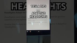 Tesla Tips  Adaptive Headlights amp Auto High Beam shorts tesla teslatips [upl. by Nadabus]