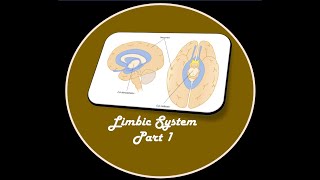 LIMBIC SYSTEM PART 1 [upl. by Icyac]