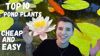 How to Plant Pond Plants 🔮🦟️🌈 The Easy Way  Without Soil [upl. by Devaney]