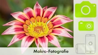 FOTOGRAFIEREN LERNEN  Makrofotografie [upl. by Strohben]