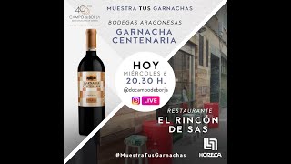 Bodegas Aragonesas con el vino Garnacha Centenaria  Restaurante El rincón de Sas [upl. by Dougherty974]