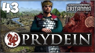 TAMING SCOTLAND Total War Saga Thrones of Britannia  Prydein Campaign 43 [upl. by Danika]