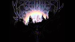 Wilds Reprisal  Defiance Enthroned 2013 Full Album [upl. by Ayidah]