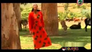 Oromo Music  Hawwi Tezera  Walee yaa walee [upl. by Divd352]