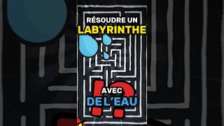 On peut résoudre un LABYRINTHE avec de LEAU  💧 [upl. by Princess]