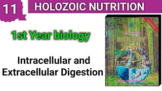 Intracellular and Extracellular Digestion  Holozoic Nutrition  class 11 [upl. by Pachston169]