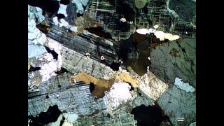 Thin section 2 [upl. by Irmgard]