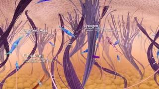 Skin Odyssey  Givaudan 360° video [upl. by Cuthbert]