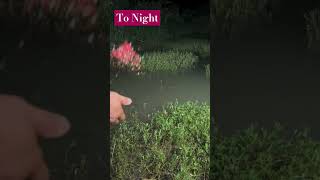 Fishing to Night Fishing with Normfishingshortsreelsfishing video [upl. by Anon121]