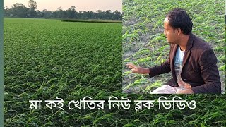 মা কই খেতির নিউ ব্লক ভিডিও [upl. by Leksehcey]