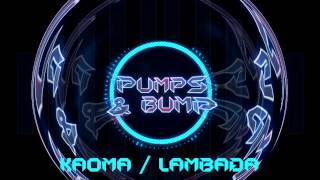 Kaoma Lambada PUMPSampBUMP Remix [upl. by Gmur869]