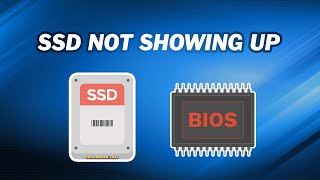 How to Fix SSD Not Showing up in BIOS ｜7 Ways [upl. by Kailey301]