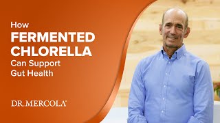 How FERMENTED CHLORELLA Can Support Gut Health [upl. by Alludba]