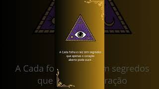 FRASES WICCA 03 [upl. by Kcirdahs]