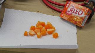 Freezedrying Jello gelatin with an improved cold trap [upl. by Clemmy]