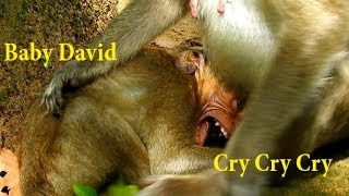 Breaking my heart Poor Baby David super cry convulsion on the ground By very angry mother no milk [upl. by Eanram]