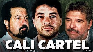 The Rise and Fall of the Cali Cartel  Its Wealth and Power [upl. by Celik]