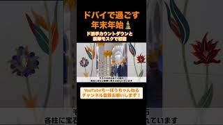 ドバイで過ごす年末年始🎍ド派手カウントダウンと豪華モスクで初詣 shorts ドバイ 海外旅行 [upl. by Chantal69]