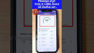 How to Check CIBIL Score from Phonepe for Free cibilscore phonepe freecreditscore [upl. by Ailelc]