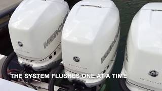 Flushing Triple Outboard Motors Using Reverso [upl. by Lamrej]