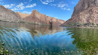 Cranes Nest Road Trail to Cranes Nest Wash  4K [upl. by Reywas]