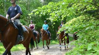 Reiturlaub in MecklenburgVorpommern [upl. by Haily192]