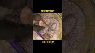 Quick amp Easy Cinnamon Pretzel Recipe  Perfect Snack in Minutes [upl. by Heyman361]