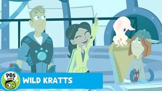 WILD KRATTS  Creatures of the Deep Sea amp Splash and Bubbles on 1123  PBSKIDS [upl. by Hands]