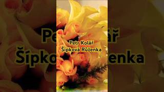 music💥Petr Kolář 💥 🌹Šípková Růženka 🌹 [upl. by Eelyac]