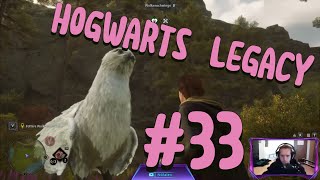 Hogwarts Legacy Part 33  Ein Hippogreif zum Anfassen [upl. by Root116]