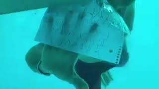 Video Man seen in underwaterstyle marriage proposal [upl. by Peper435]