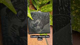 CREALITY Falcon2 Pro  Schiefer Fotogravur  pinselara [upl. by Larcher]