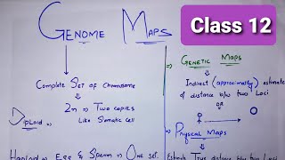 Genome Maps in HindiDifference between Genetic map and Physical mapGenetic mapPhysical map [upl. by Nodnol]