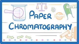 GCSE Chemistry  Paper Chromatography 63 [upl. by Sivra]