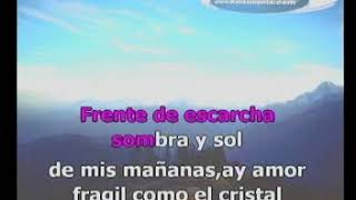 KARAOKE AY AMOR JOSE LUIS PERALES K300 [upl. by Ecilahc]